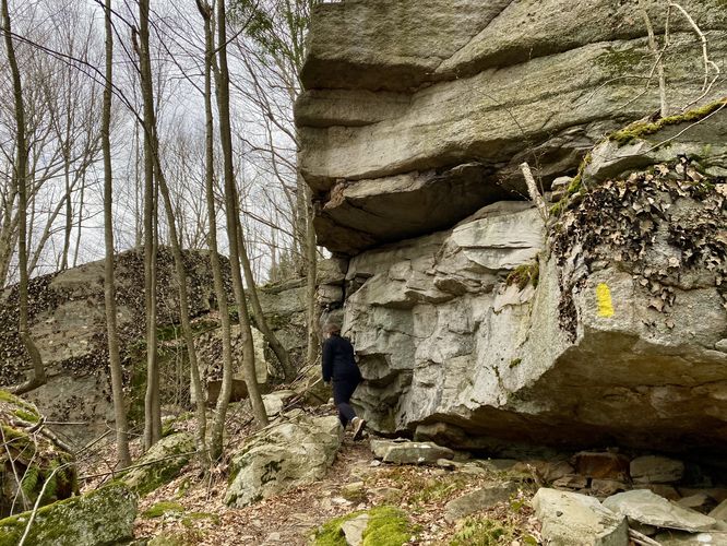 Rock ledges & boulders