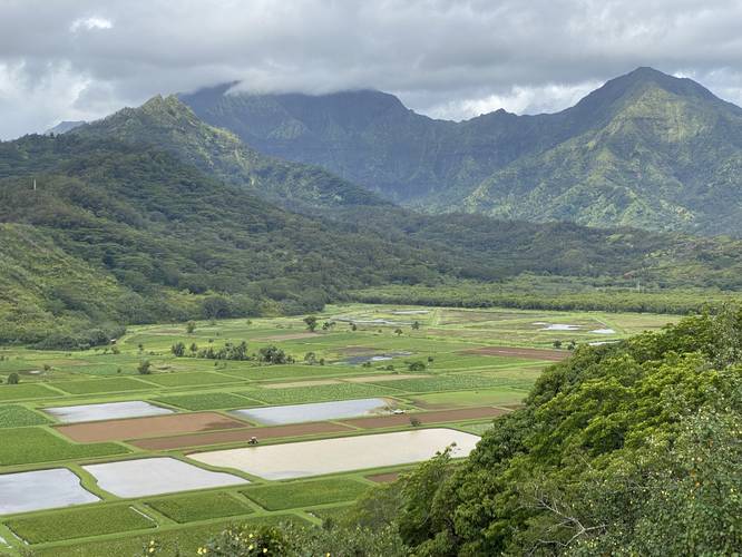 Picture 1 of Hanalei Valley Lookout