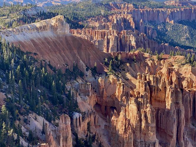 View of Bryce Canyon Hoodoos from Rainbow Point