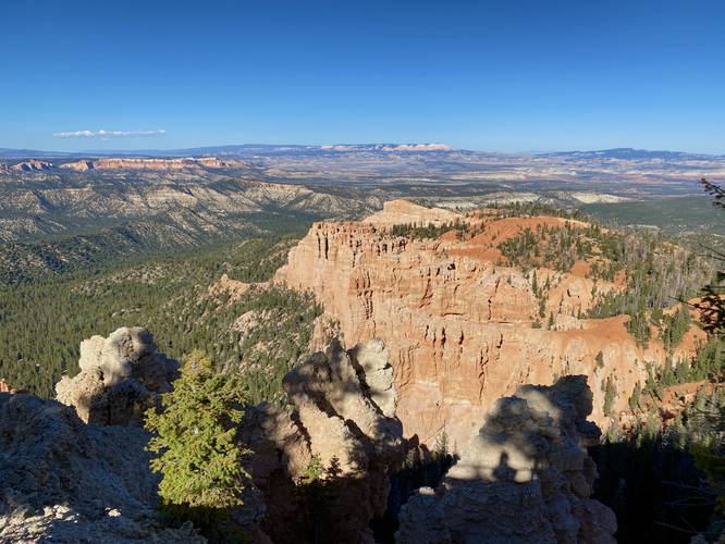 View into Bryce Canyon from Rainbow Point