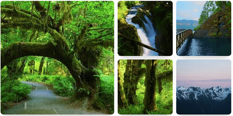 Shop Landscape Prints