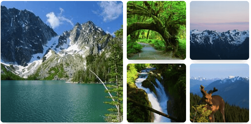 Shop Landscape Prints