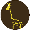JMiller user profile picture
