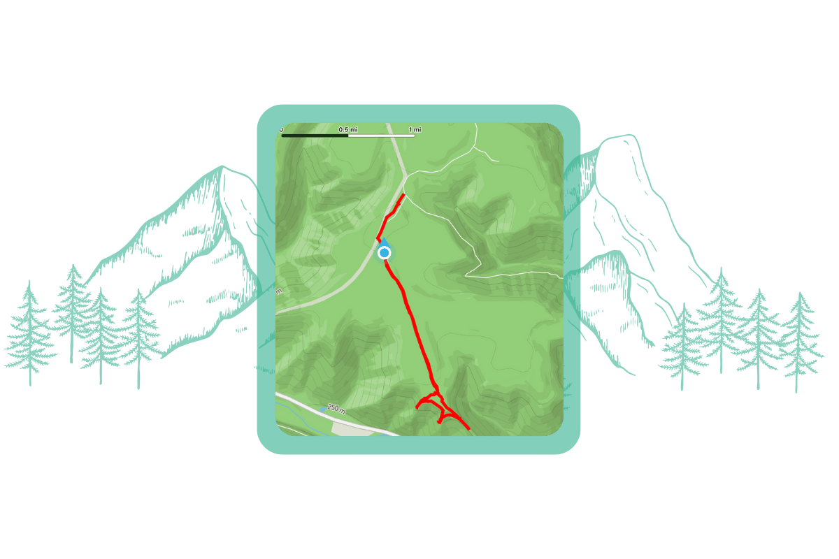 MyHikes app recording a hike, set on simple illustrated background.