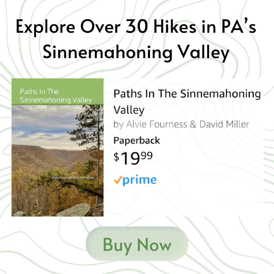 Paths in the Sinnemahoning Valley book ad