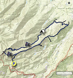 Small map for Mills Creek Hike