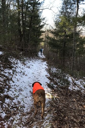 Picture 3 of  Elliott Knob Hike 020219