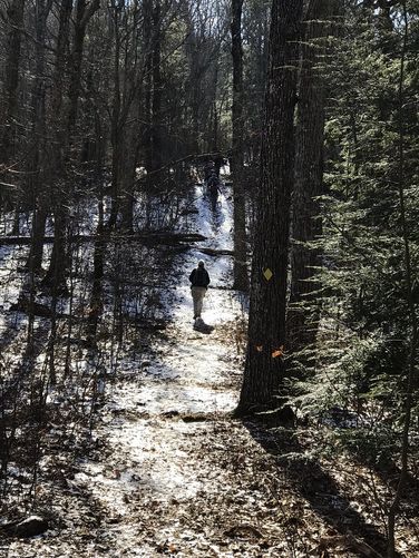 Picture 4 of  Elliott Knob Hike 020219