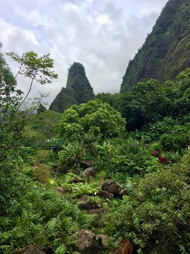 Picture 15 of 'Iao Needle Lookout Trail