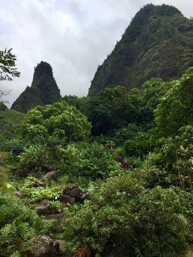 Picture 16 of 'Iao Needle Lookout Trail