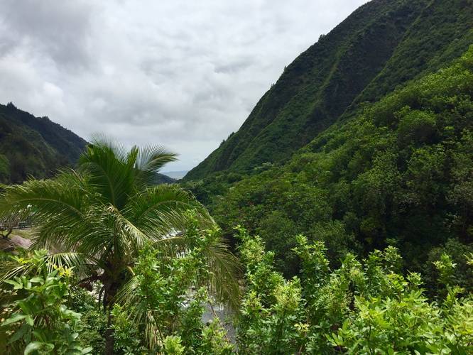 Picture 19 of 'Iao Needle Lookout Trail