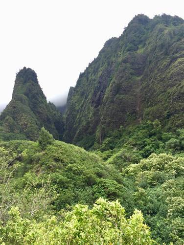 Iao Needle from the trop of the trail