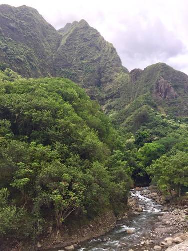 Picture 6 of 'Iao Needle Lookout Trail