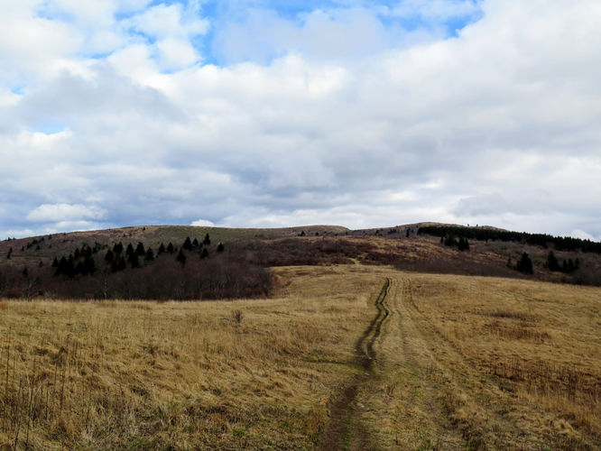 Picture 69 of 011517