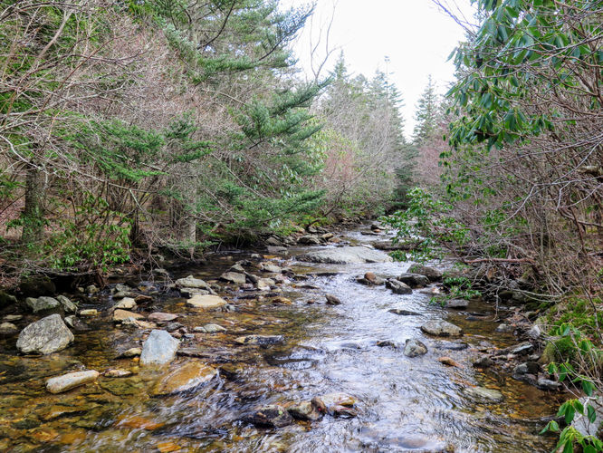 Picture 89 of 011517