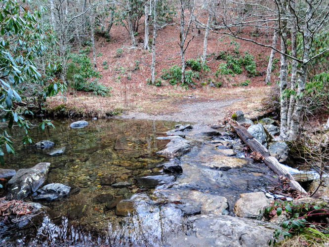 Picture 93 of 011517