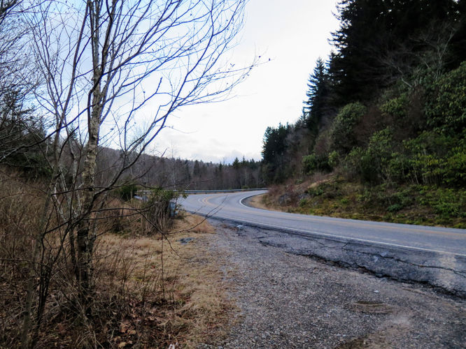 Picture 95 of 011517