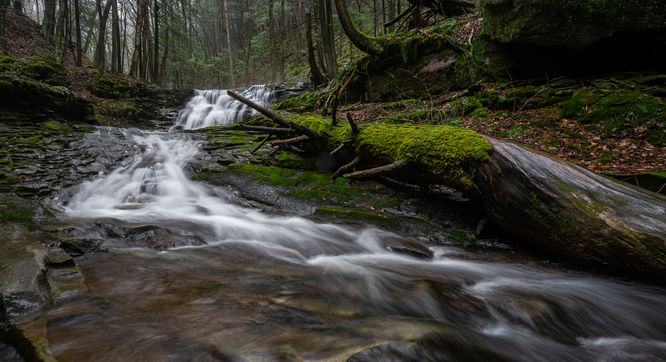 Default image for Scar Run Loop, a 3.7-mile trail in Forksville, PA (US)