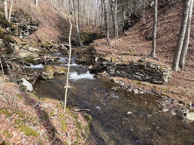 Picture 9 of 032026HawkRun