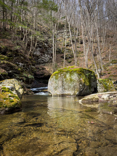 Picture 10 of 032026HawkRun