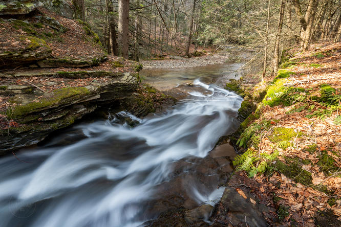 Hawk Run flowing into Rock Run
