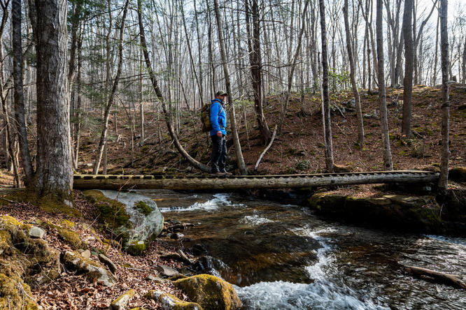 Footbridge over Hawk Run