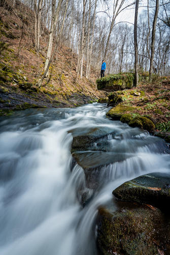 Picture 8 of 032026HawkRun