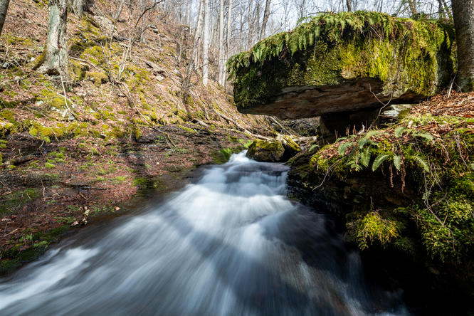 Picture 2 of 032026HawkRun