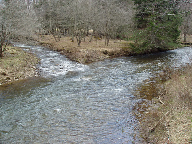 Picture 6 of 040503