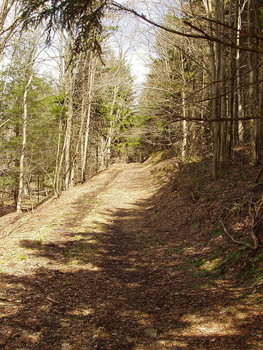 Picture 23 of 040503