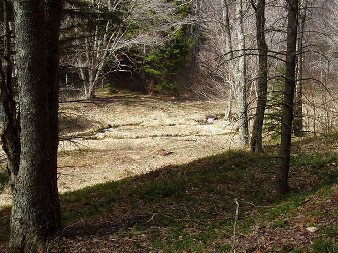 Picture 24 of 040503