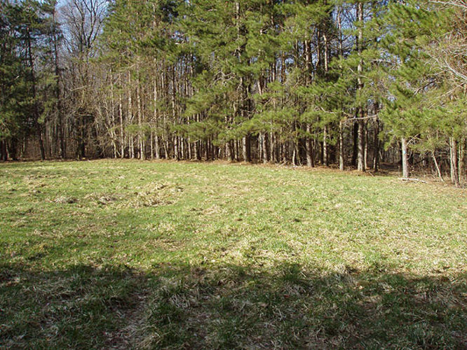 Picture 42 of 040503