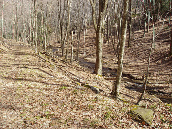 Picture 44 of 040503