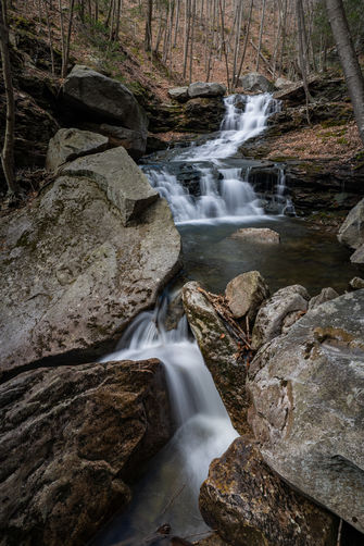 Default image for Miners Run Falls Loop, a 0.8-mile trail in Ralston, PA (US)