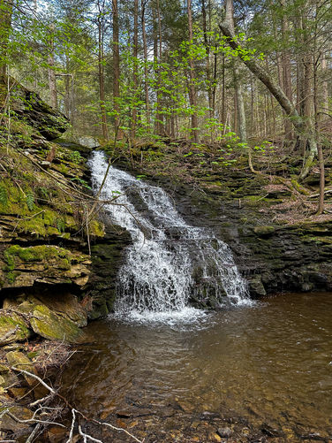 Ketchum Run Falls