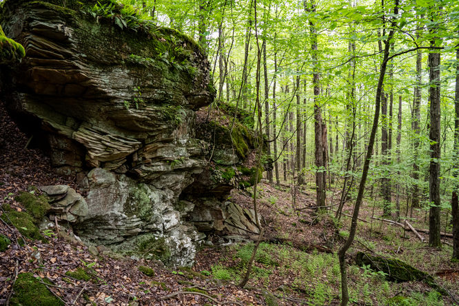 Rock outcropping