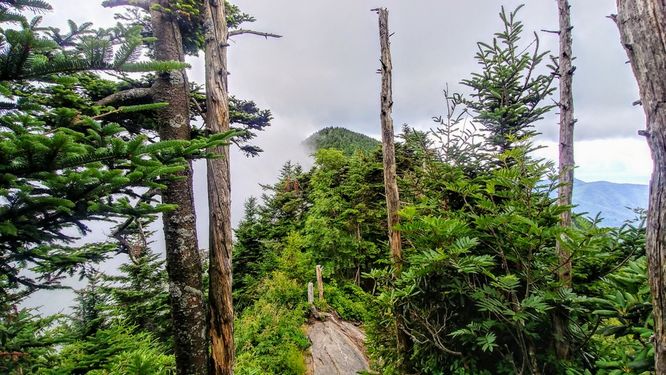 Picture 2 of 070419