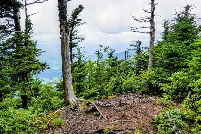 Picture 29 of 070419