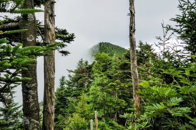 Picture 30 of 070419