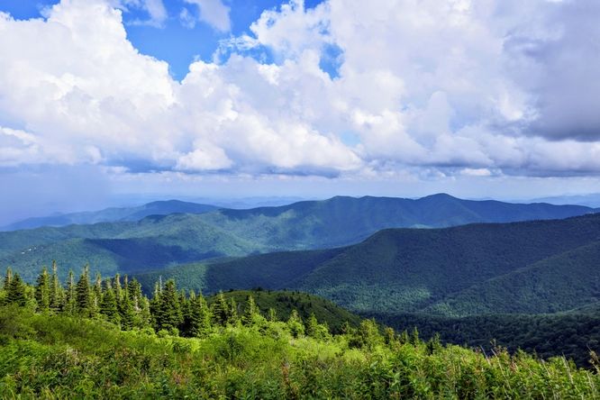 Colbert Ridge Trail and Buncombe Horse Range Trail Hike - 070419 album