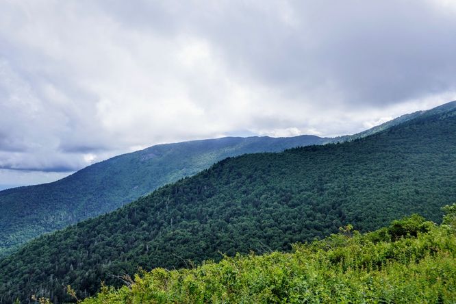 Picture 43 of 070419