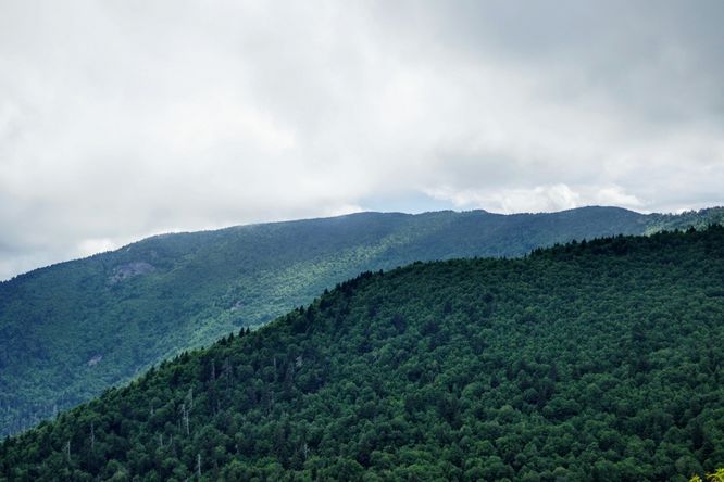 Picture 44 of 070419