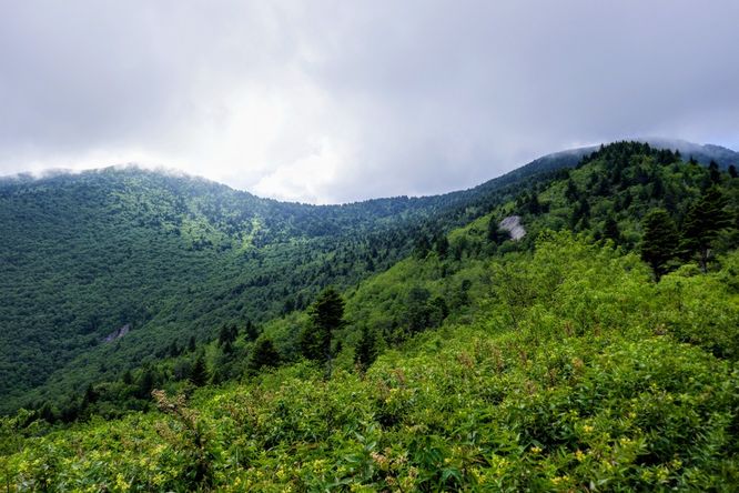 Picture 45 of 070419