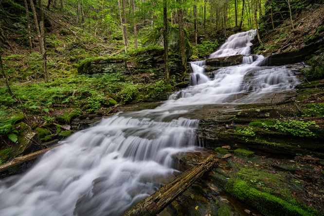 Default image for Hounds Run Hike, a 0.6-mile trail in Trout Run, PA (US)