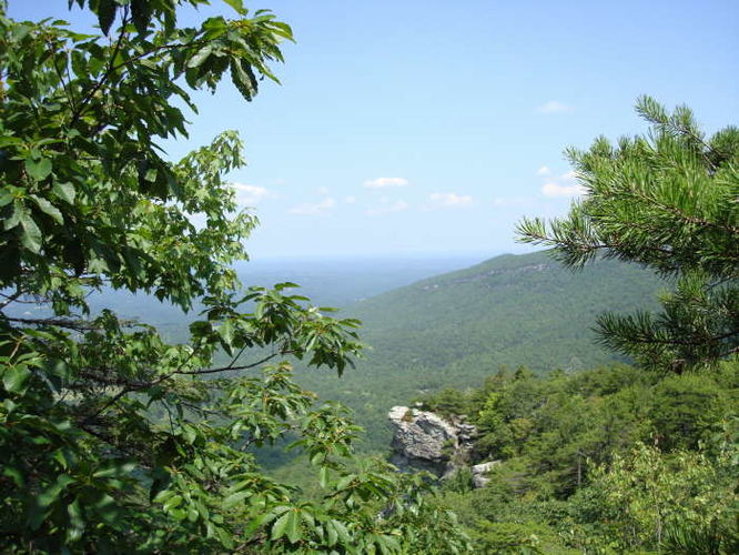 Picture 24 of 080509