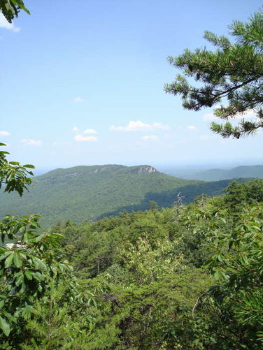 Picture 25 of 080509