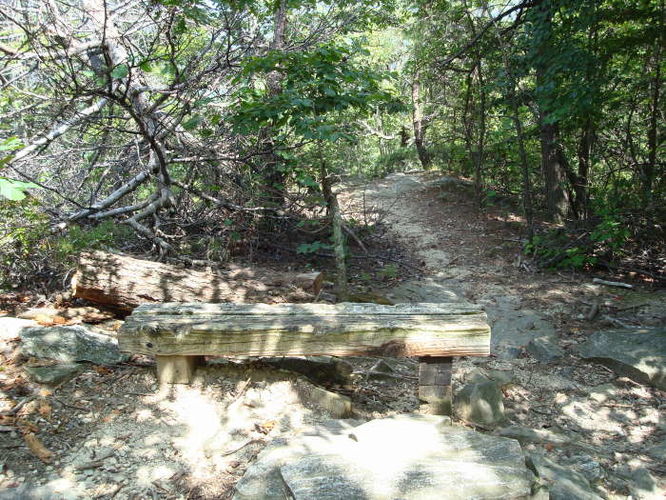 Picture 26 of 080509