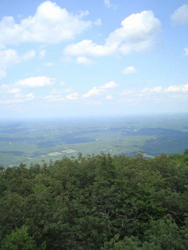 Picture 35 of 080509