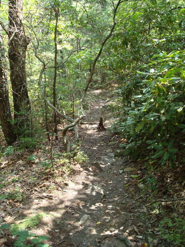 Picture 41 of 080509