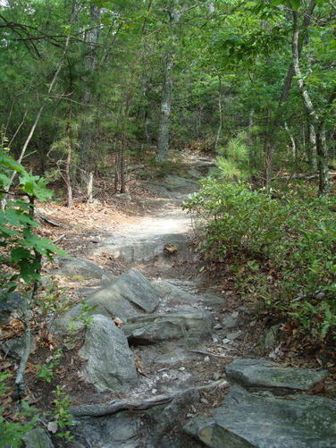 Picture 43 of 080509